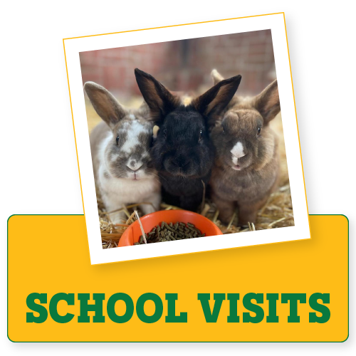 Trilakes / Children's Indoor & Outdoor Play in Berkshire